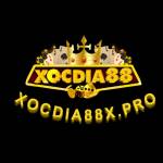 Xocdia88X Xóc Đĩa Online