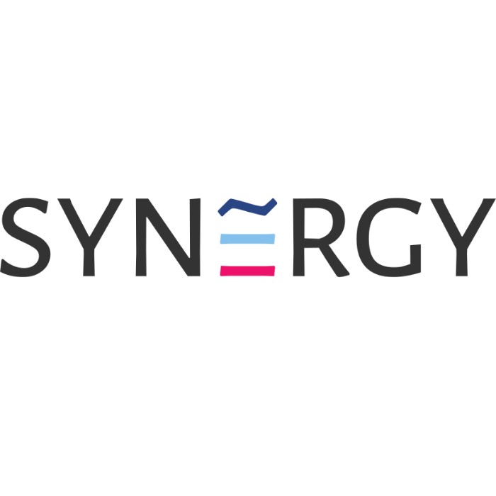 Synergy IT