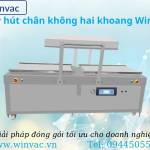 Winvac Việt Nam