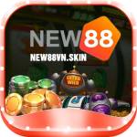 new88 skin