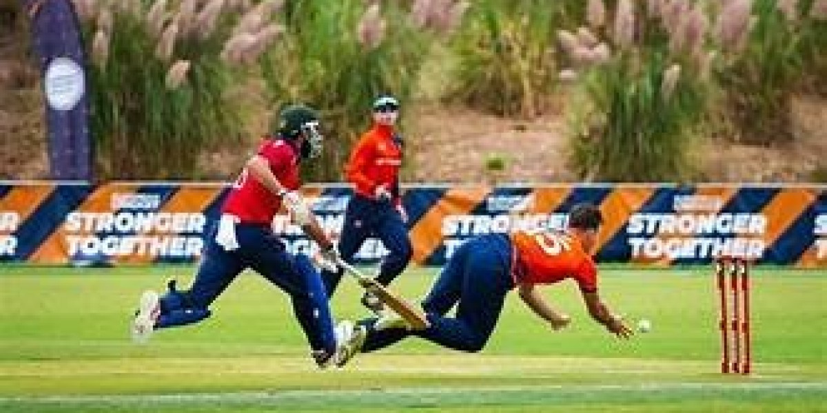 Discover the Best Gear at Cricket Shop Europe