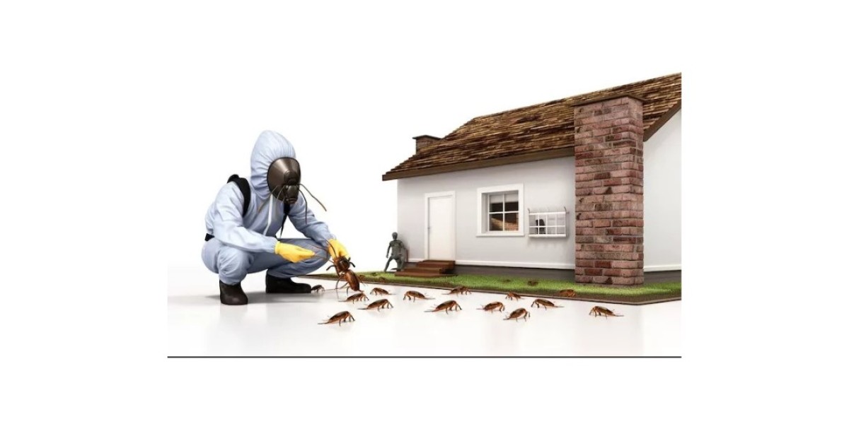 Licensed Termite Inspectors
