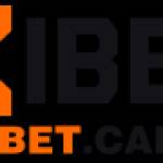 Xibet Cam