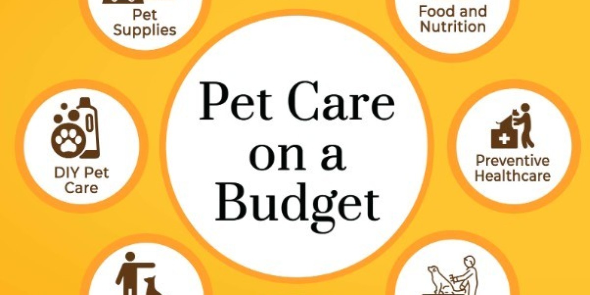In-Home Veterinary Hospice & Euthanasia Services in Richmond