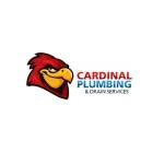 Cardinal Plumbing and Drain Services