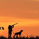 flashlights flashlights