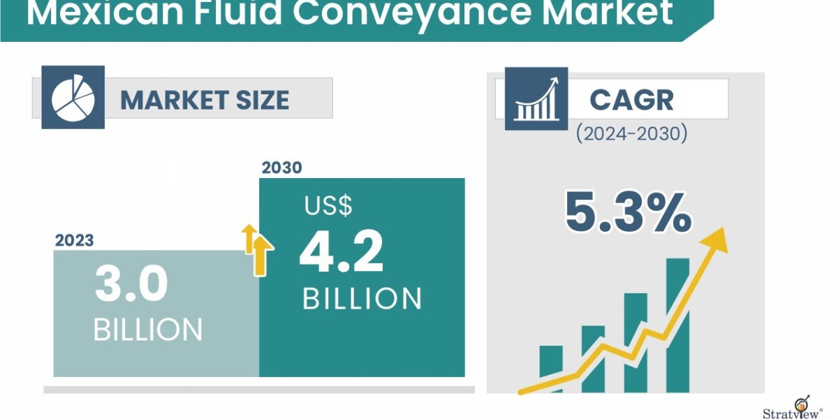 Driving Efficiency: Fluid Conveyance in Mexico’s Manufacturing & Automotive Sector