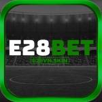 e28vnskin