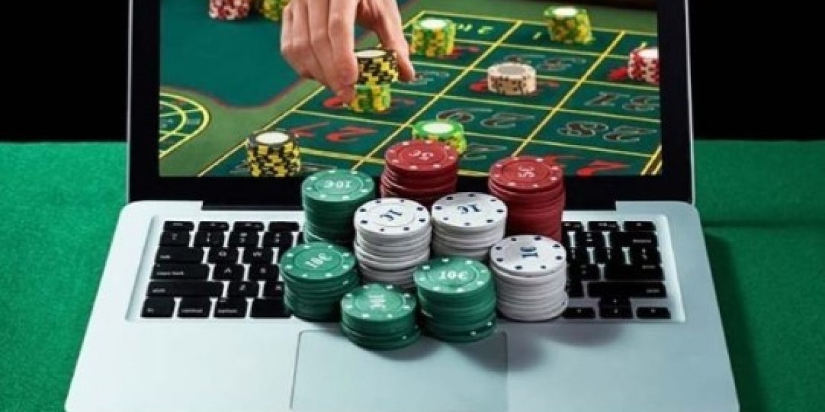 Experience Elite Betting with Winbuzz Bet