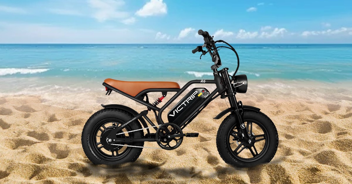 VICTRIP Ebike