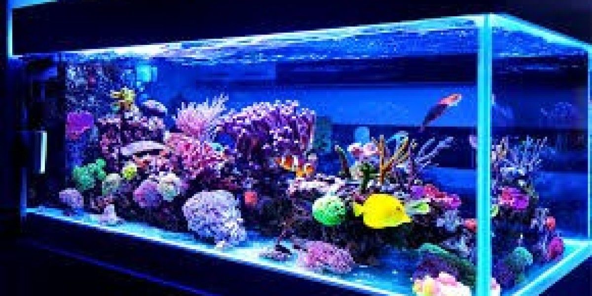 Choosing the Right Fish Species for Your Aquarium Environment