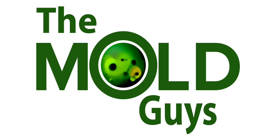 The Mold Guys