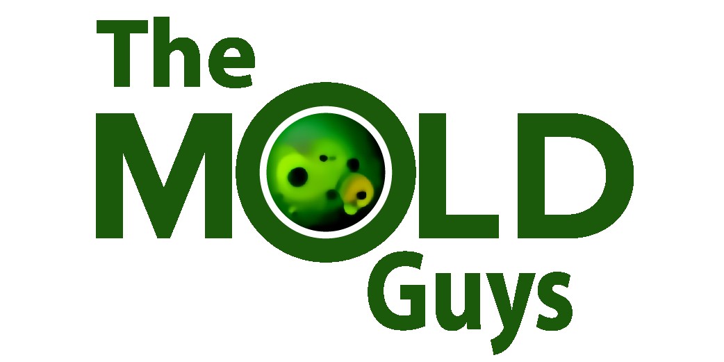 The Mold Guys