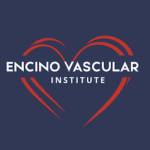 Encino Vascular Institute