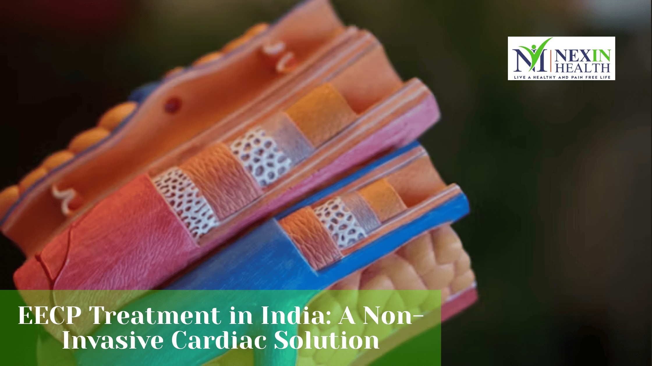Nexin Health