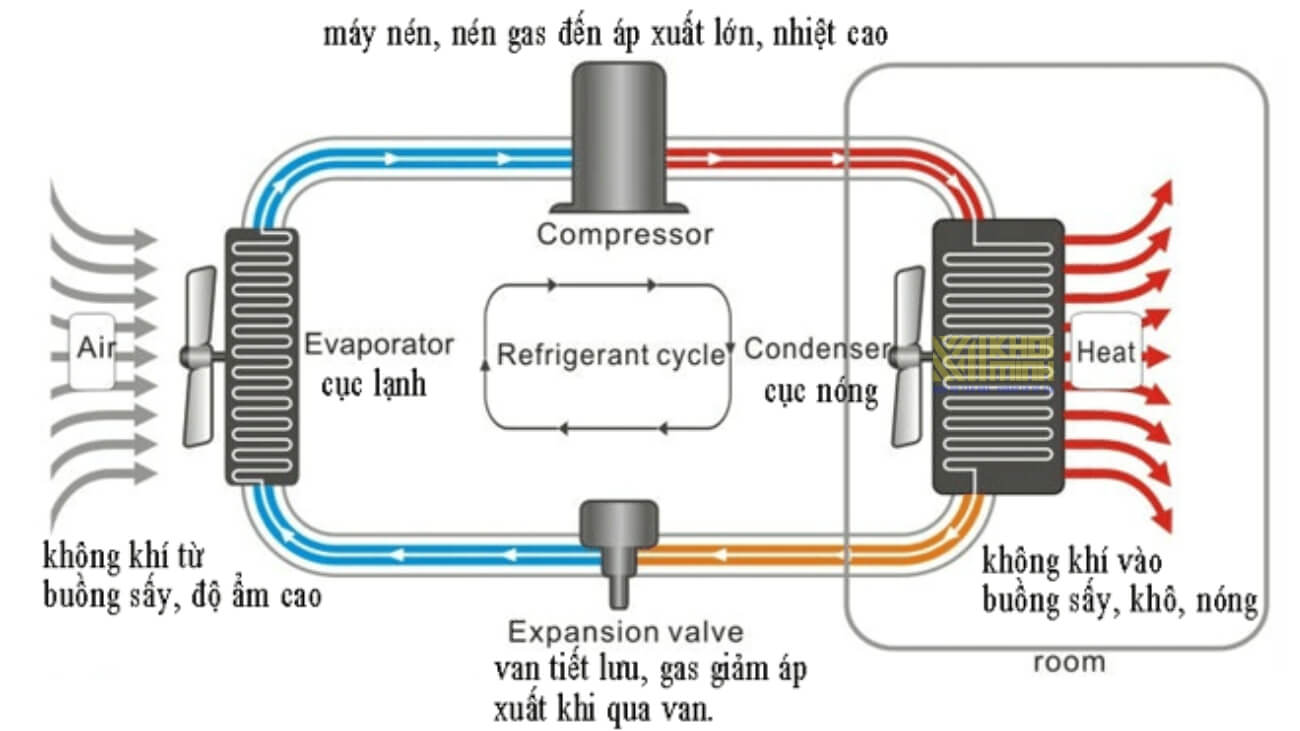Công Nghệ Sấy Lạnh Bảo Toàn Chất Lượng Thực Phẩm Cao
