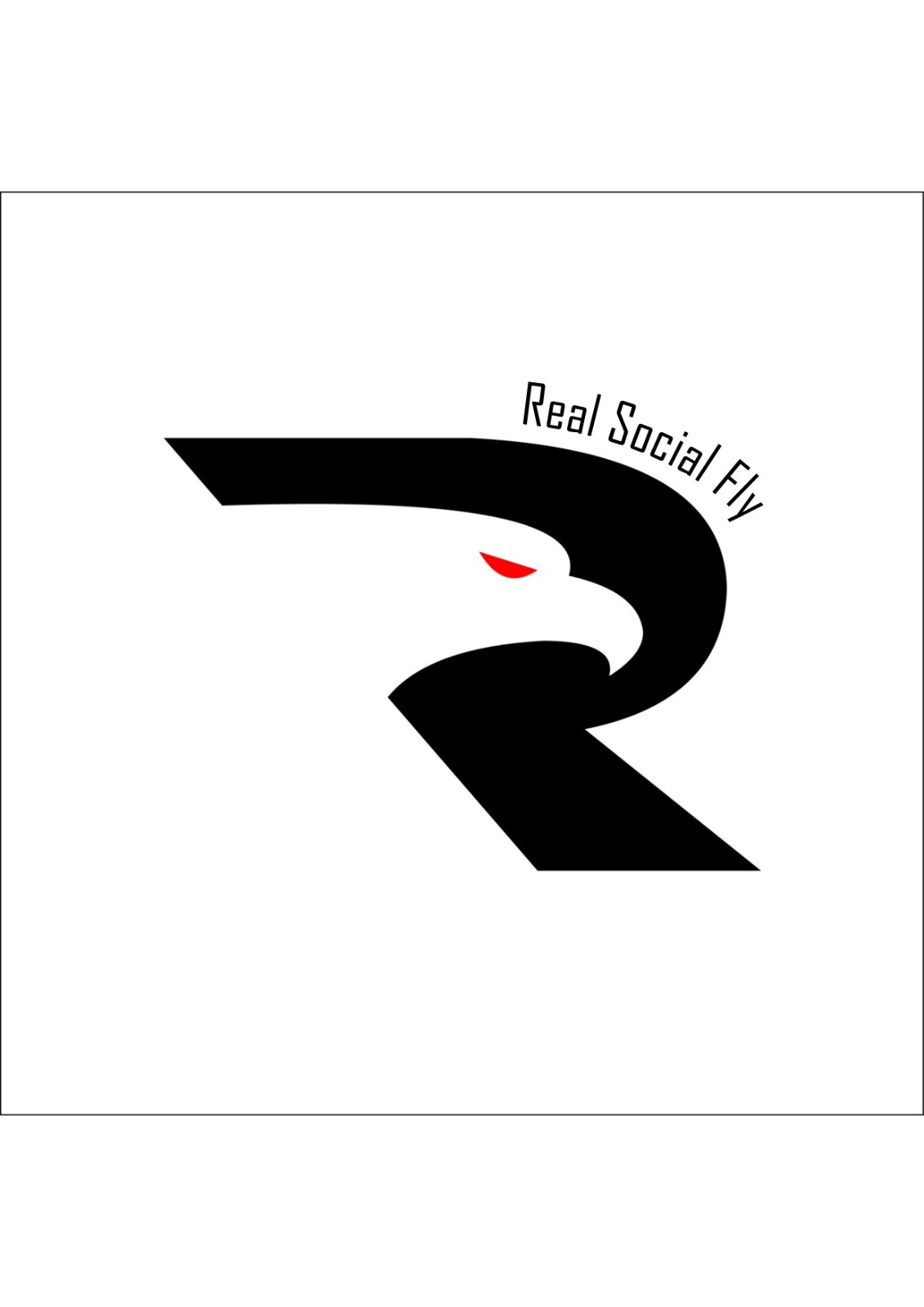 Real Socialfly