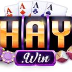 1Haywin tech