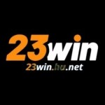 23WIN