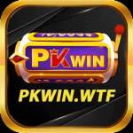 Pkwin Pkwin
