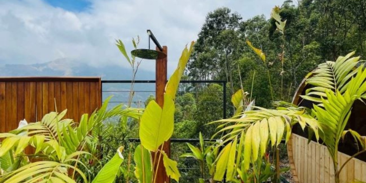 Luxe Glamp: The Ultimate Mountain View Staycation in Munnar for Couples
