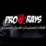 Pro Rays