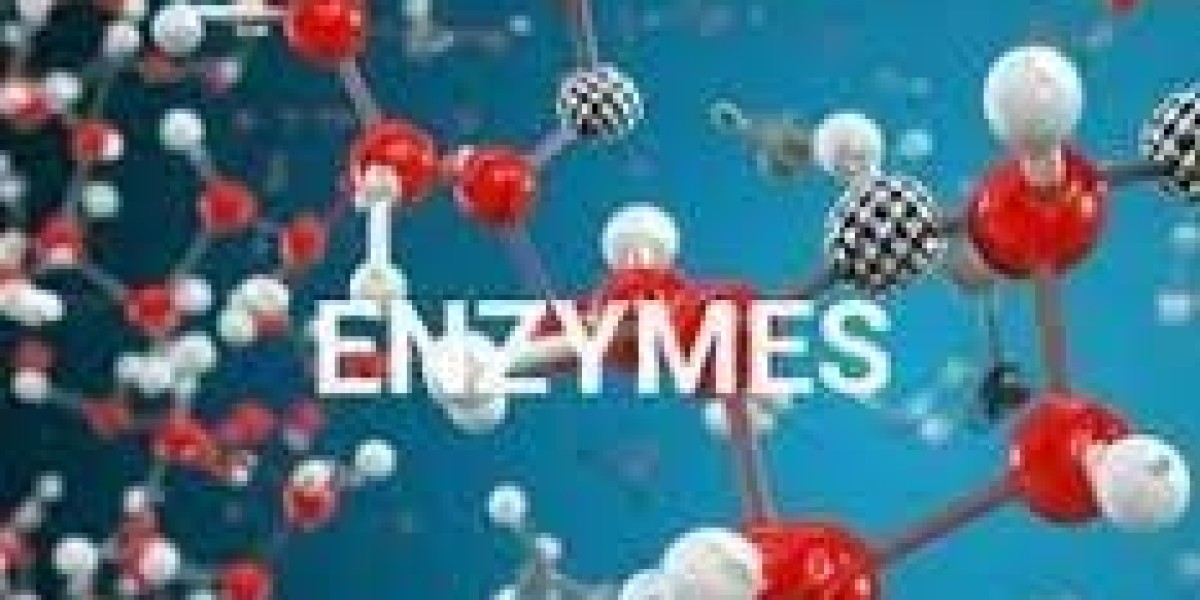 Textile Enzymes Market Insights: Innovation, Challenges, and Opportunities