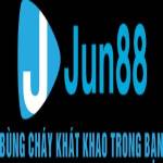 Jun888vi com