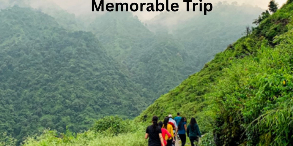 Top Places to Visit in Dehradun – Exploring the Beauty of the Doon Valley