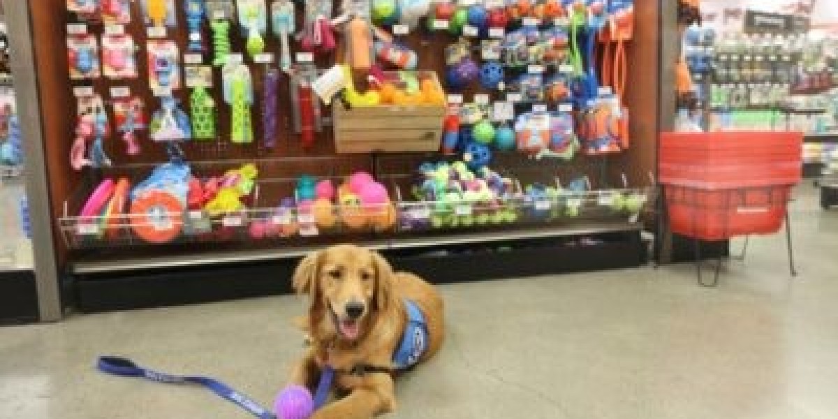 What Influences the Price of a Service Dog?