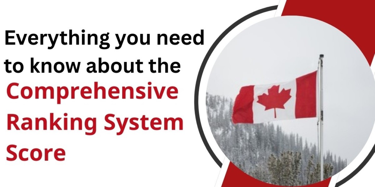 Steps to Secure Permanent Residency Through CRS Draws