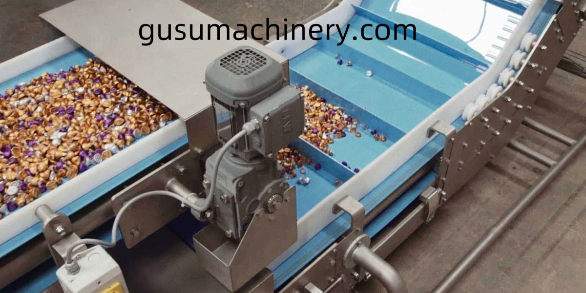Chocolate Depositor Perspectives with Gusumachinery Expertise