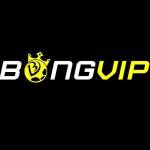 Nhà Cái BONGVIP