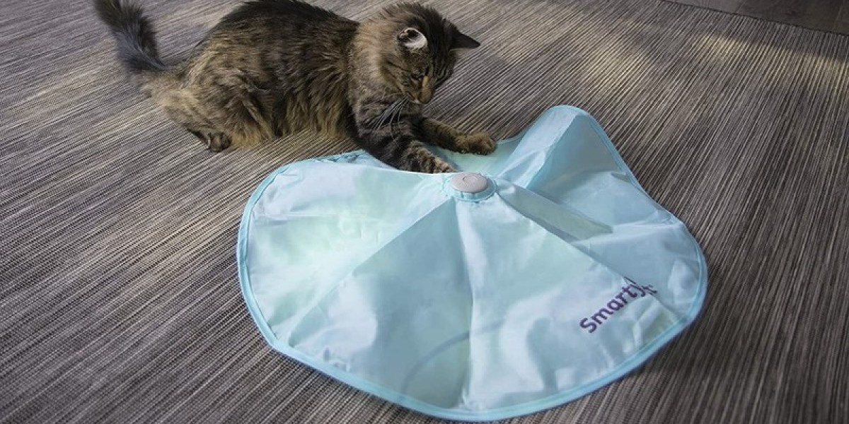 Discover Why SmartyKat Hot Pursuit Is Every Cat’s Favorite Toy