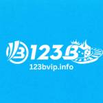 123b 123b