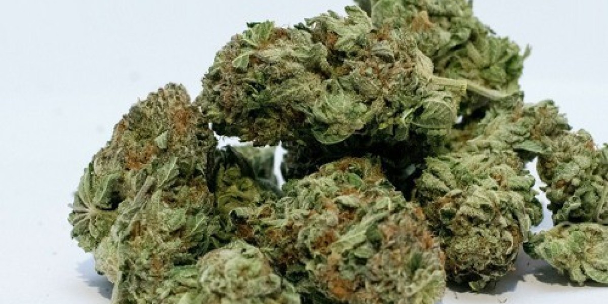 Weed Tolerance Breaks: When to Take Them