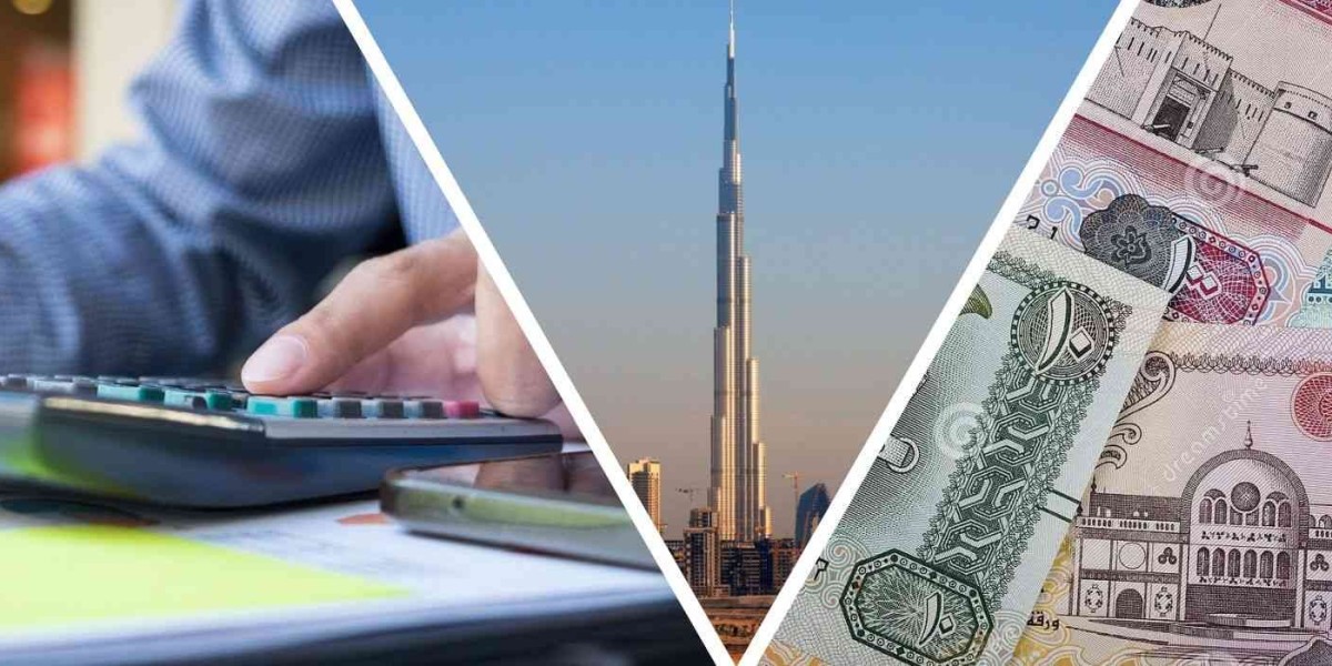 The Importance of Professional Debt Collection in UAE