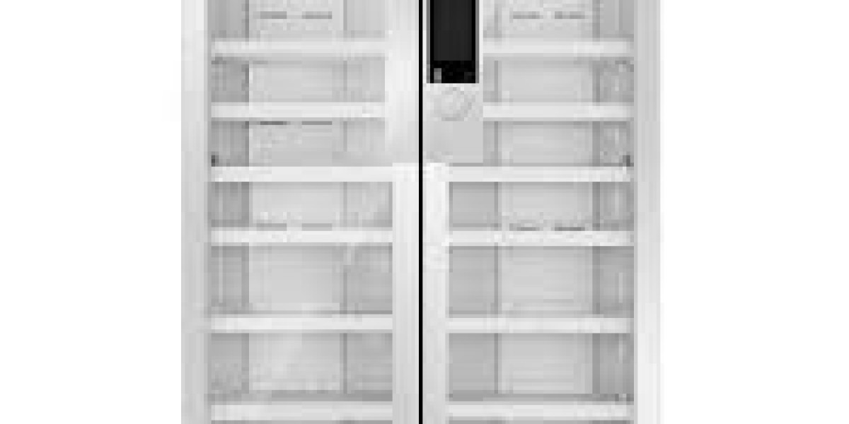 Biomedical Refrigerator Market Insights Reveal Rising Importance of Reliable Cold Chain Storage Solutions in Healthcare
