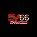 SV66 Work