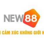 New88vi Com