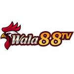 Wala88 Đá gà