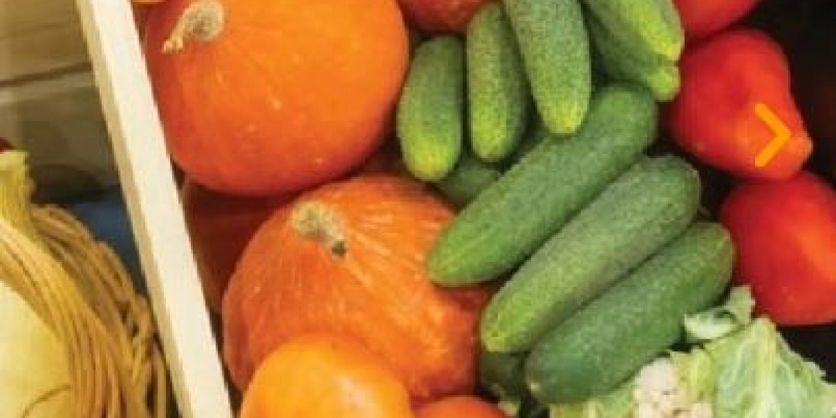 What Role Do Frozen Food Suppliers Play in Expanding the Global Food Network?