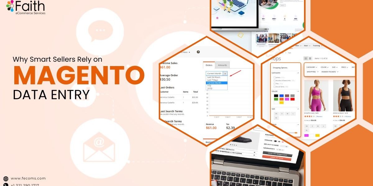Why Intelligent Sellers Rely Upon Magento Data Entry