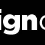 thesig ndepot