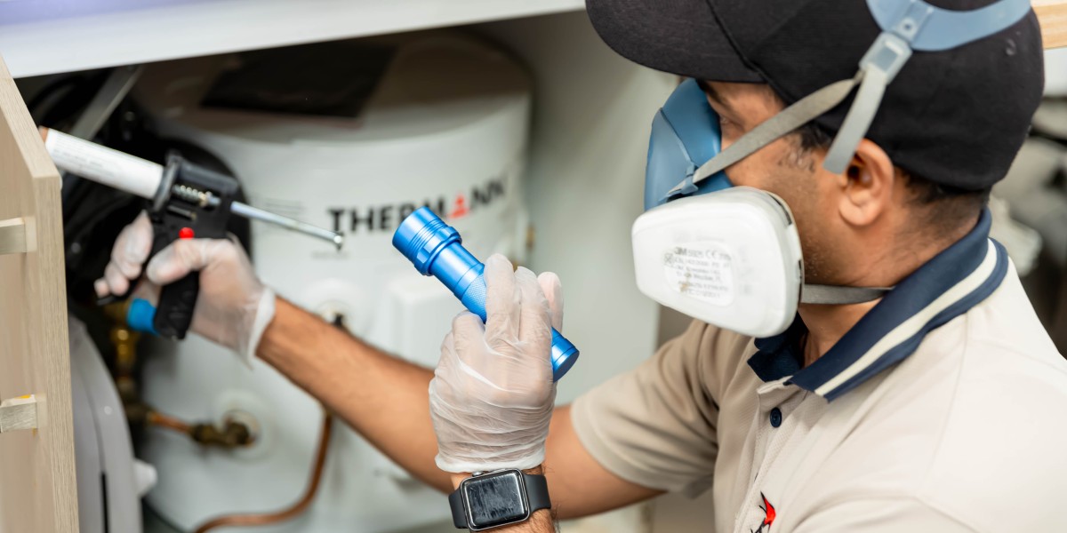 How Can Homeowners in Melbourne Effectively Manage Unwanted Pests?