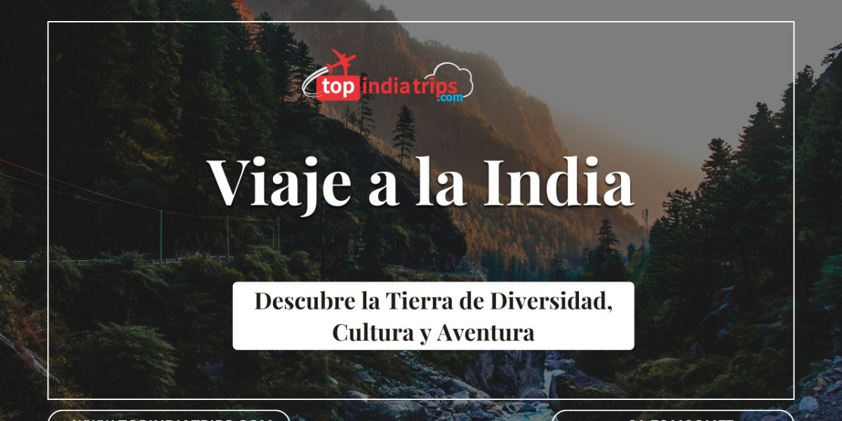 Viaje a la India: Descubre los Mejores Tours y Experiencias