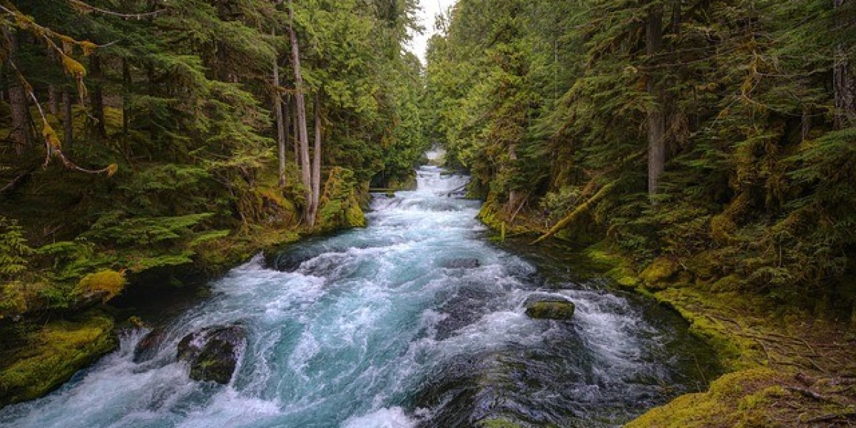 Easy Ways to Find Cheap Flights to Salem, Oregon with CompareWings