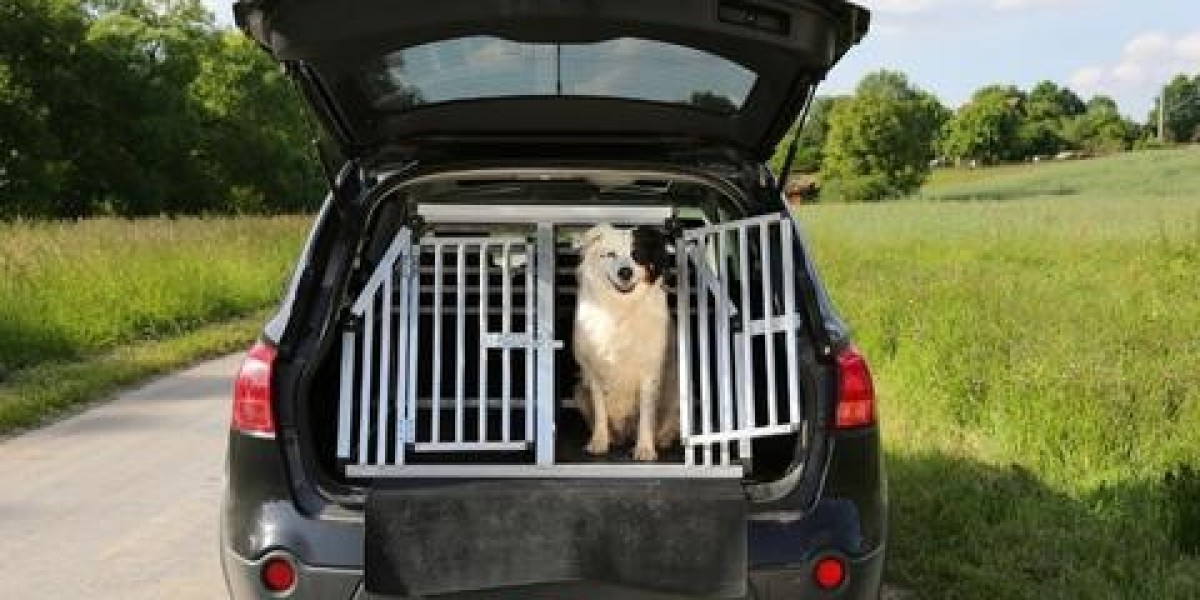 Premium Dog Boxes for Ute – Secure & Comfortable Travel | EZ Toolbox
