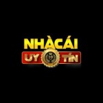 Nhacaiuytinvn link