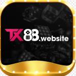 tx88website tx88website